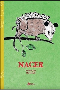 Nacer Nacer