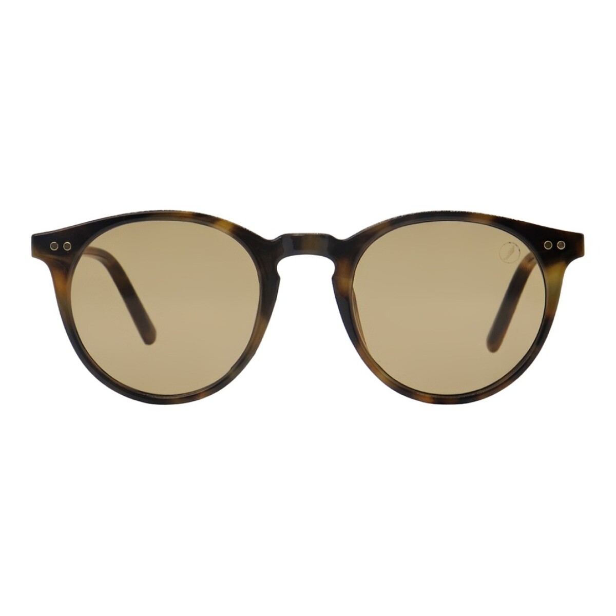 Lentes de Sol Chilli Beans Toronto - Animal Print 