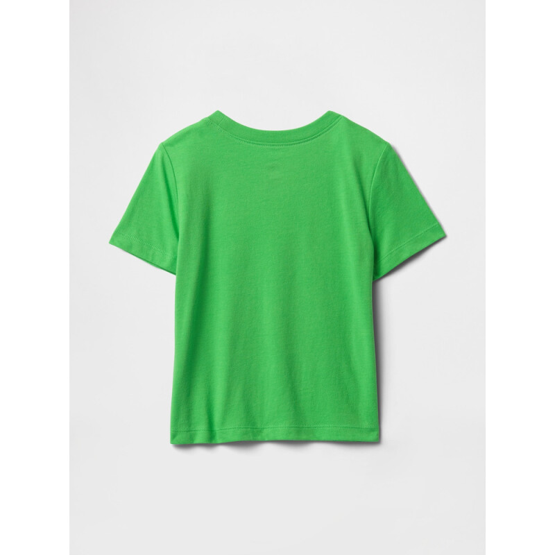 V-FRCH SP LOGO TEE POISON GREEN 166444TCX