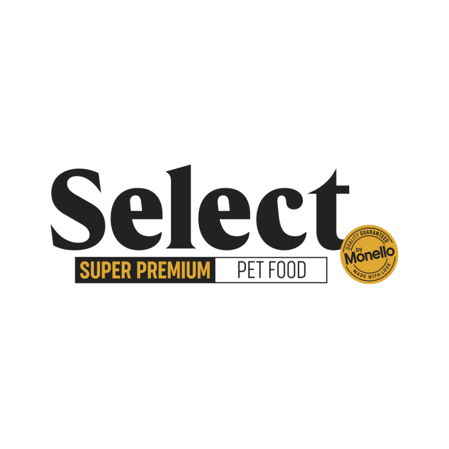 SELECT