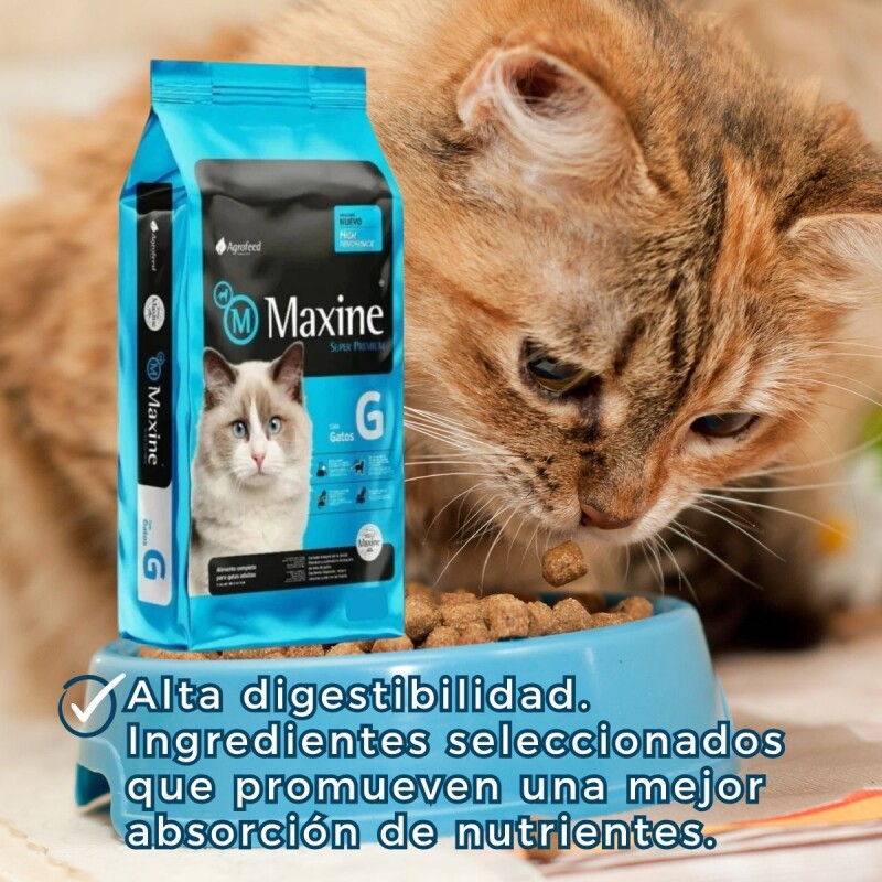 MAXINE GATOS ADULTOS 7.5 KG