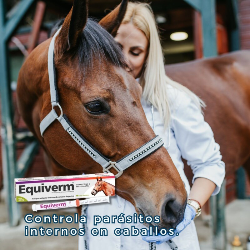 EQUIVERM JERINGA 600 KG EQUIVERM JERINGA 600 KG