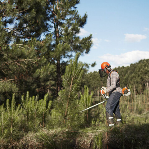 Desmalezadora Stihl FS291 2,7HP Desmalezadora Stihl FS291 2,7HP