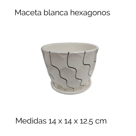 Maceta Ceramica Tamaño: 14x14x12.5cm Maceta Ceramica Tamaño: 14x14x12.5cm