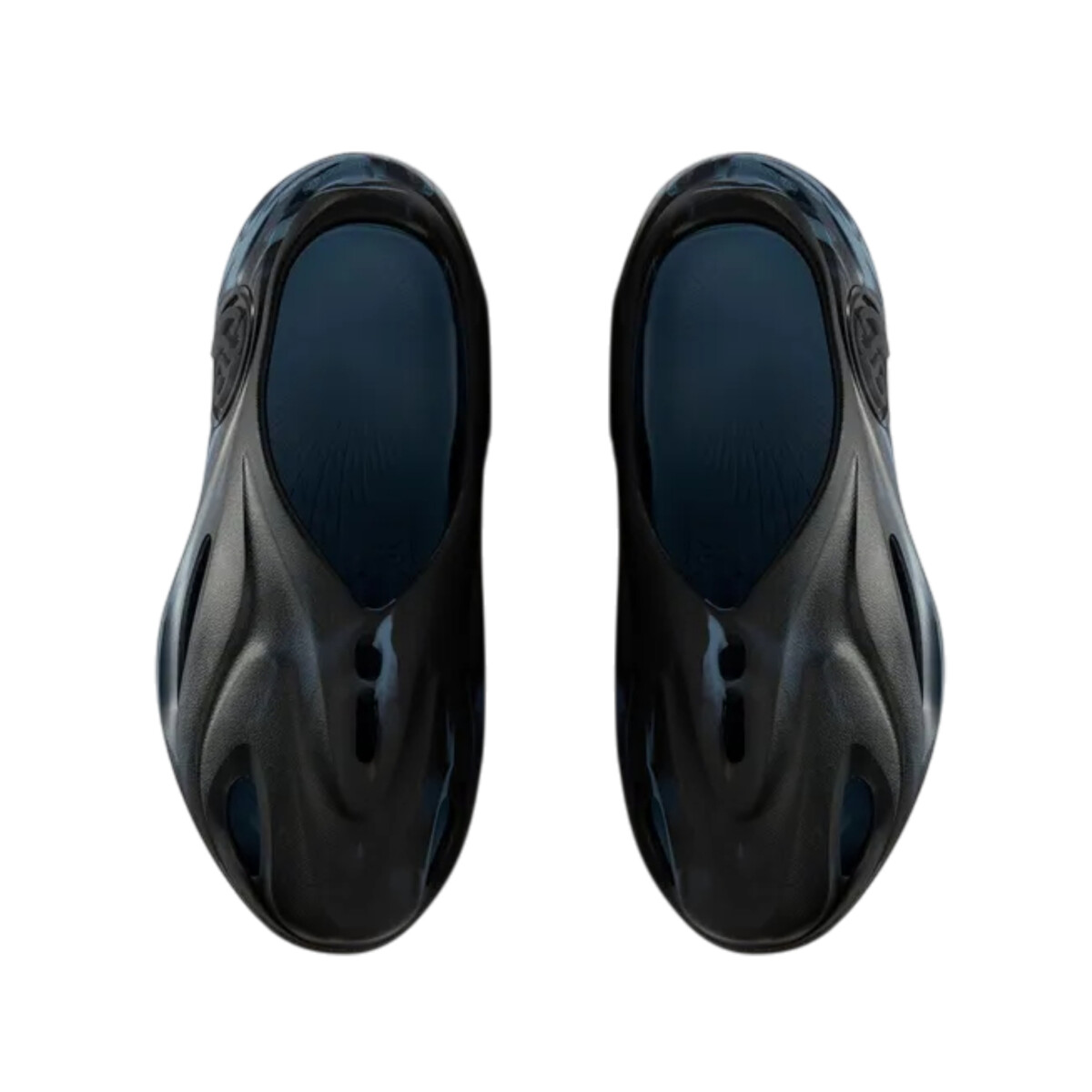 361ş Whale 2 - Black & Blue 