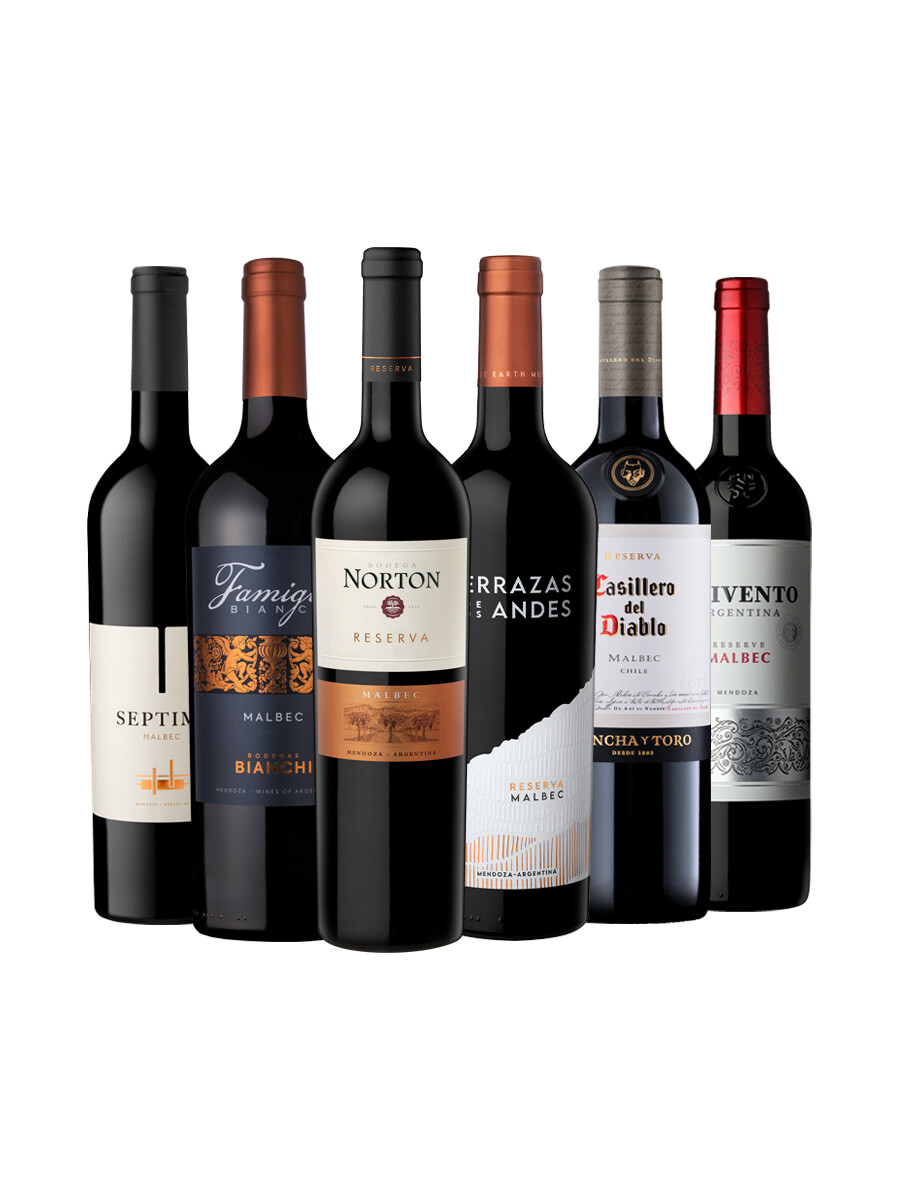 Pack Bacán Selección Bacanazo Fin de Año x6 vinos argentinos Pack Bacán Selección Bacanazo Fin de Año x6 vinos argentinos