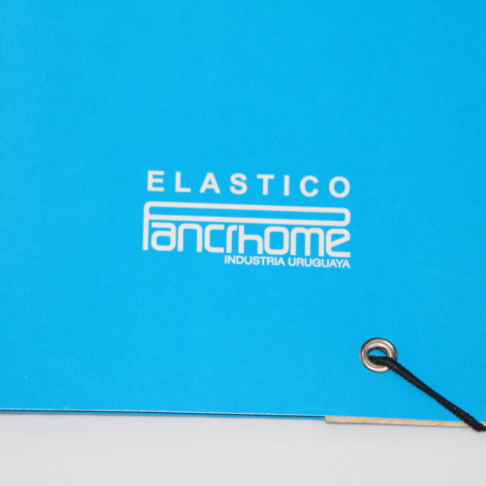 CARPETA PANCHROME CON ELASTICO 307 AZUL CARPETA PANCHROME CON ELASTICO 307 AZUL