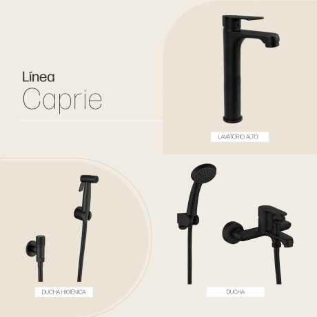 JUEGO DE GRIFERIA MONOCOMANDO MATE CAPRIE NEGRO