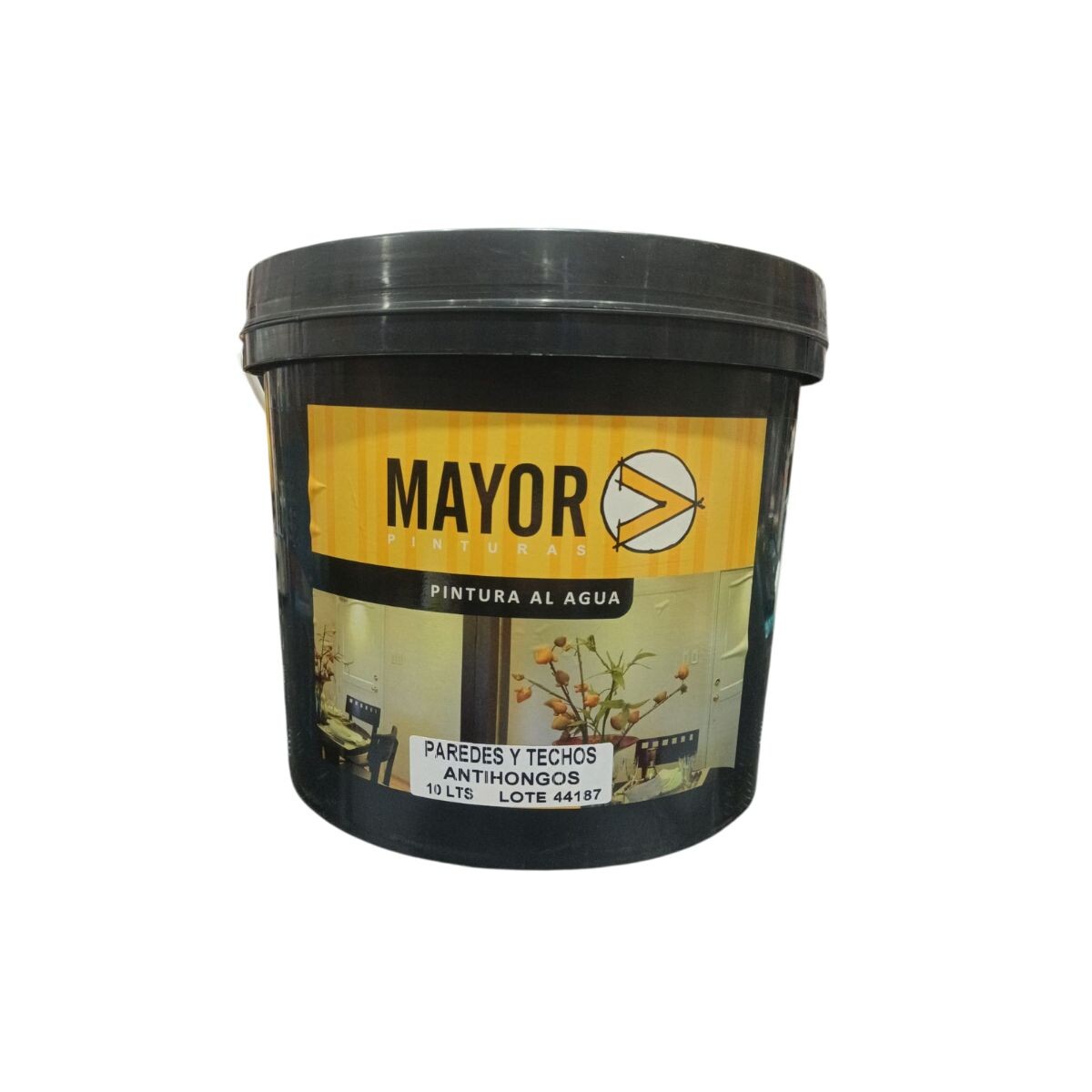 Pintura Techos Y Paredes A/h 10 Lt Mayor