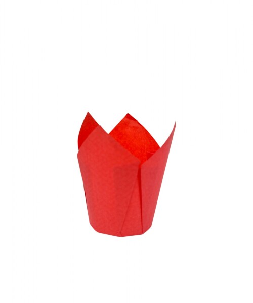 Tulipa 15x5 cm ROJO