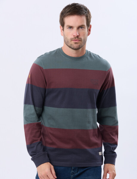 REMERA RAYADA CON ESTAMPA Azul