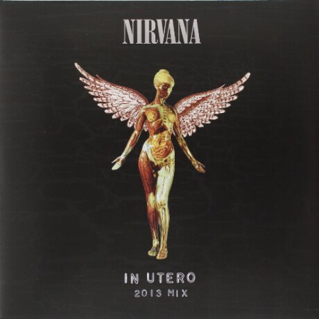 Nirvana- In Utero (aniversary Edition) Nirvana- In Utero (aniversary Edition)