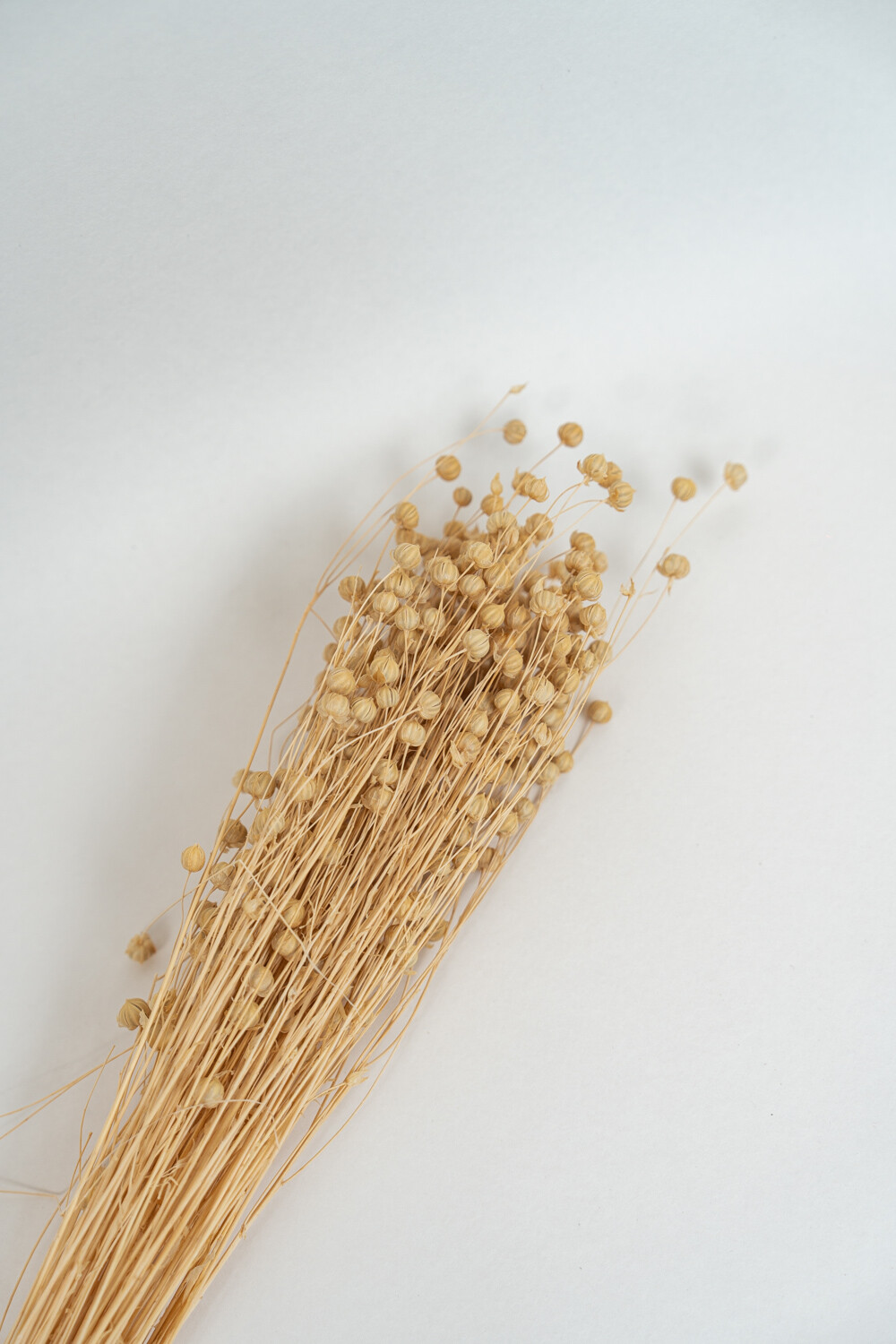 Deco Floral Amapola Color Unico