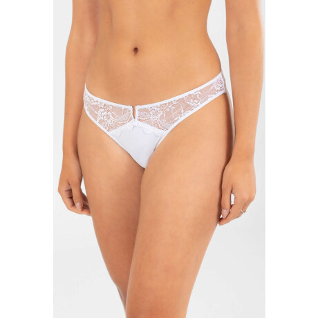 Colaless calatea Blanco