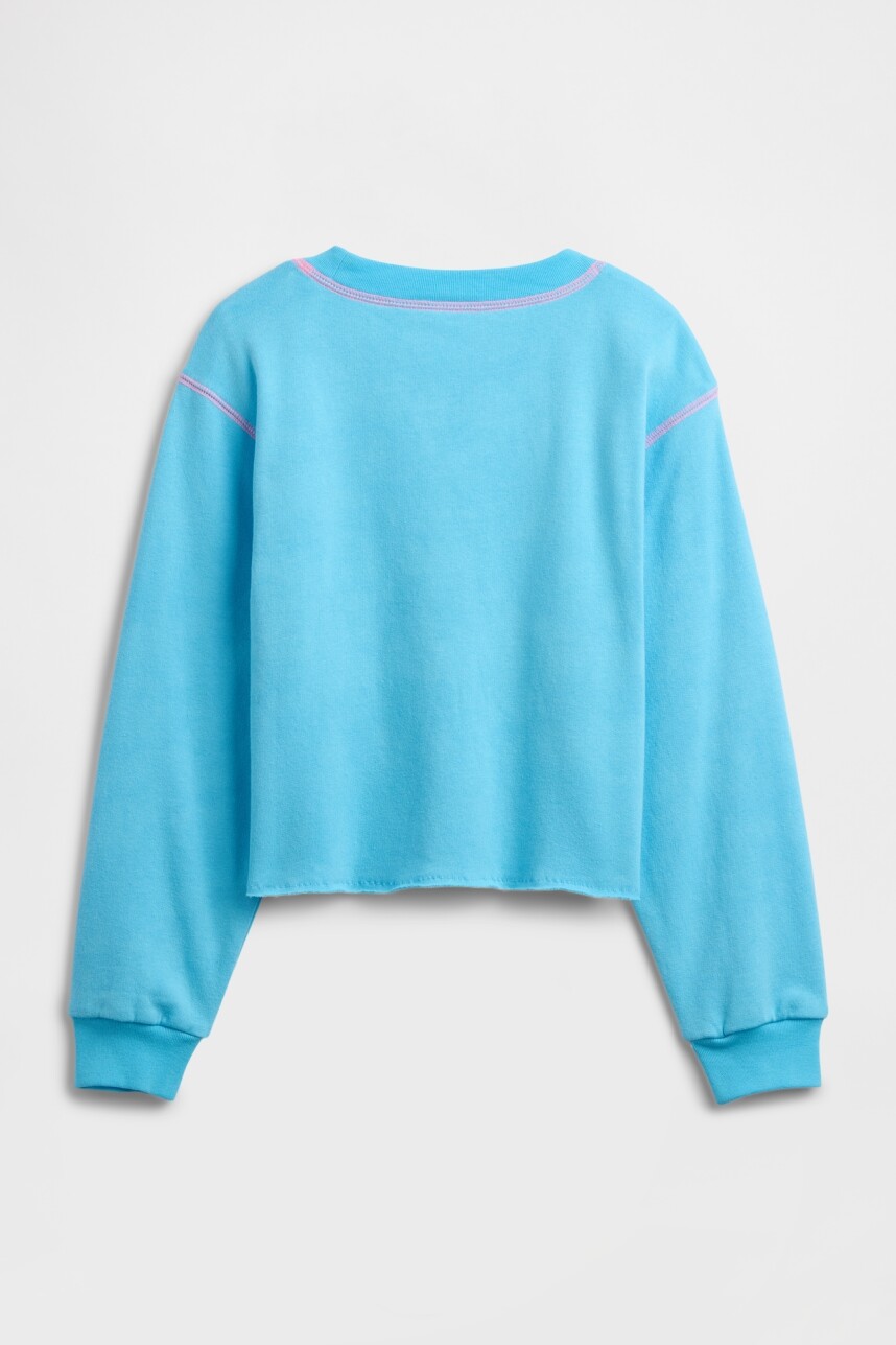 V-FRENCH TERRY CREW Aquarius