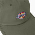 Gorro Dickies Low Pro Logo Dad Verde