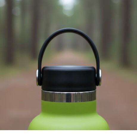 Botella 18 Oz (532ml) Standard Hydro Flask Seagrass