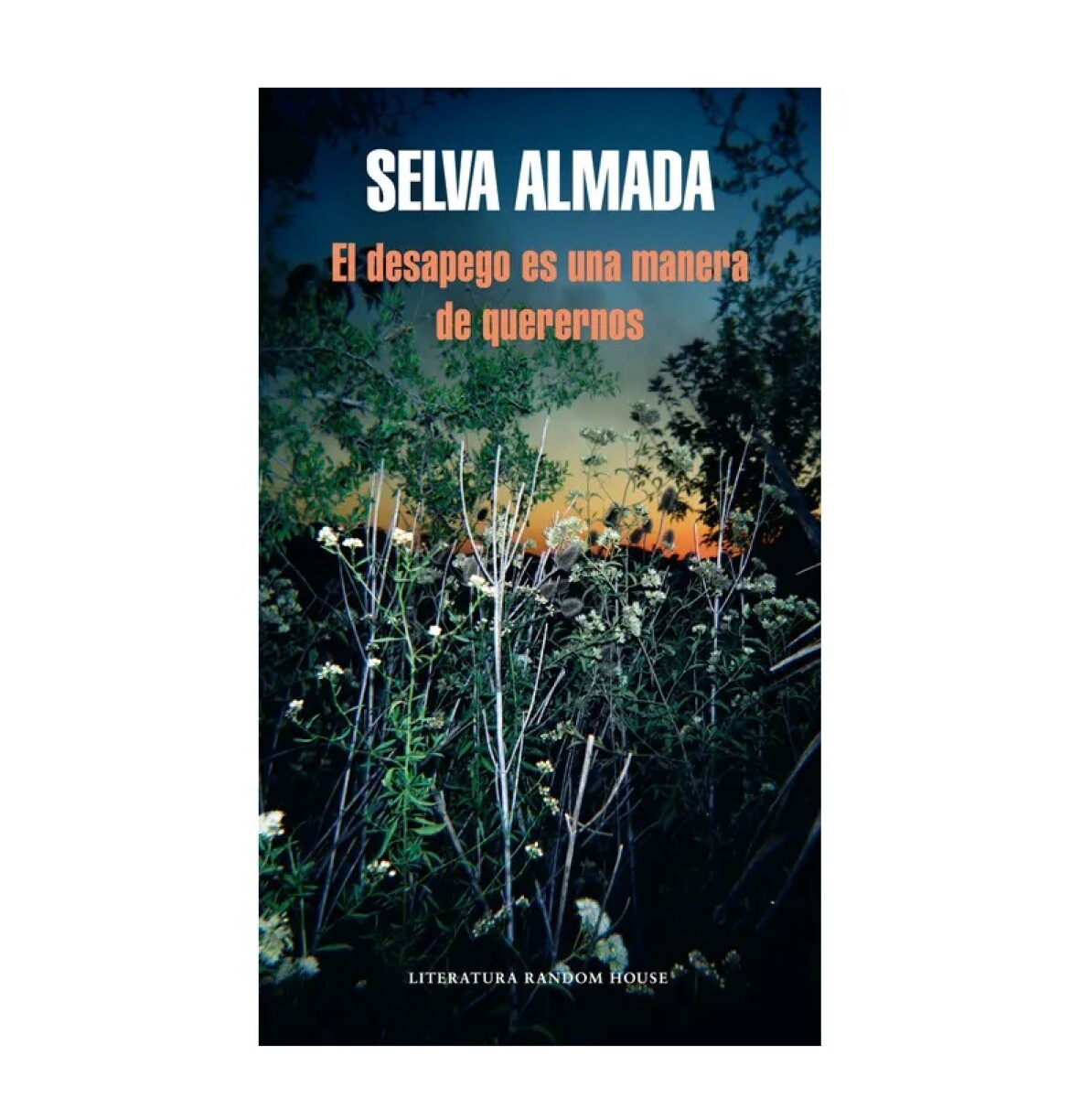 El Desapego Es Una Manera De Querernos 