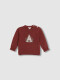 Jersey Con Intarsia Delante Teja