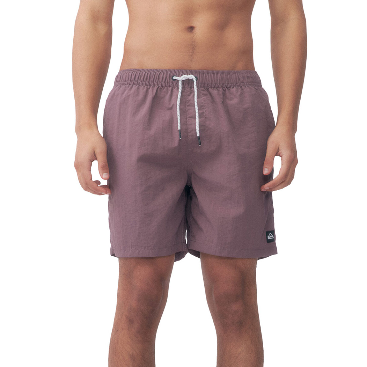 Quiksilver Short Volley SKY Hombre - Violeta 