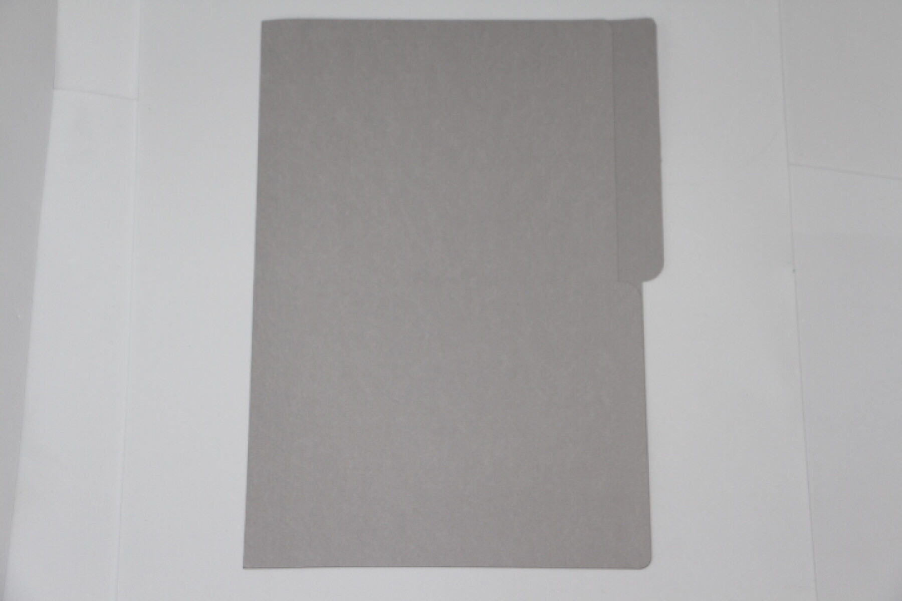 CARPETA PAPIRO PARA FICHERO 20 - GRIS 