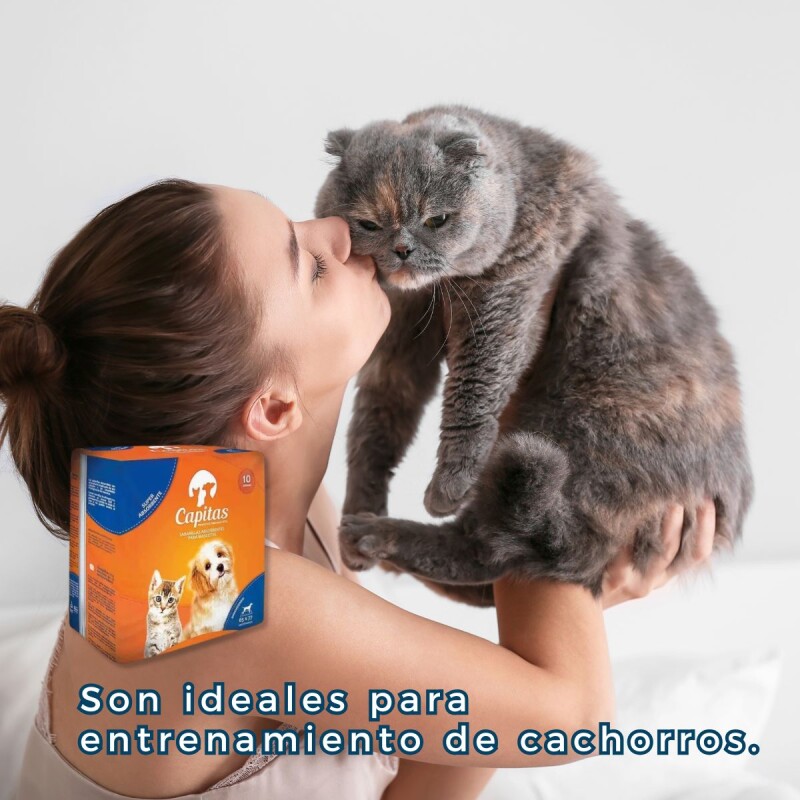 PAÑALES SABANITAS DE ENTRENAMIENTO DE MASCOTAS CAPITAS 10 UNIDADES PAÑALES SABANITAS DE ENTRENAMIENTO DE MASCOTAS CAPITAS 10 UNIDADES