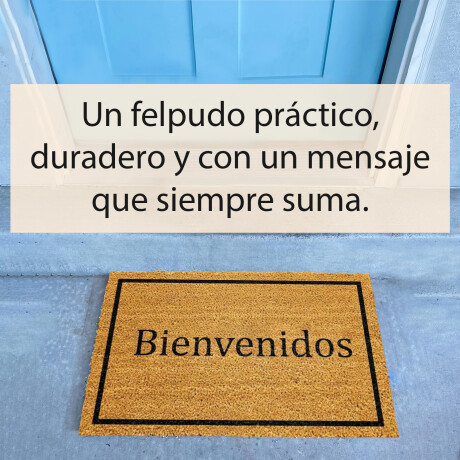 Alfombra Puerta Entrada Felpudo Coco Goma 40X60 Bienvenido