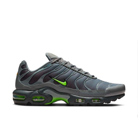 Championes Nike Air Max Plus de Hombre Gris
