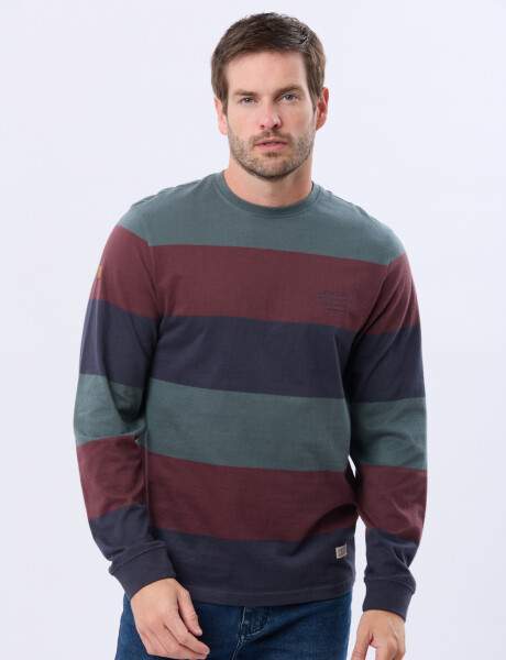 REMERA RAYADA CON ESTAMPA Azul