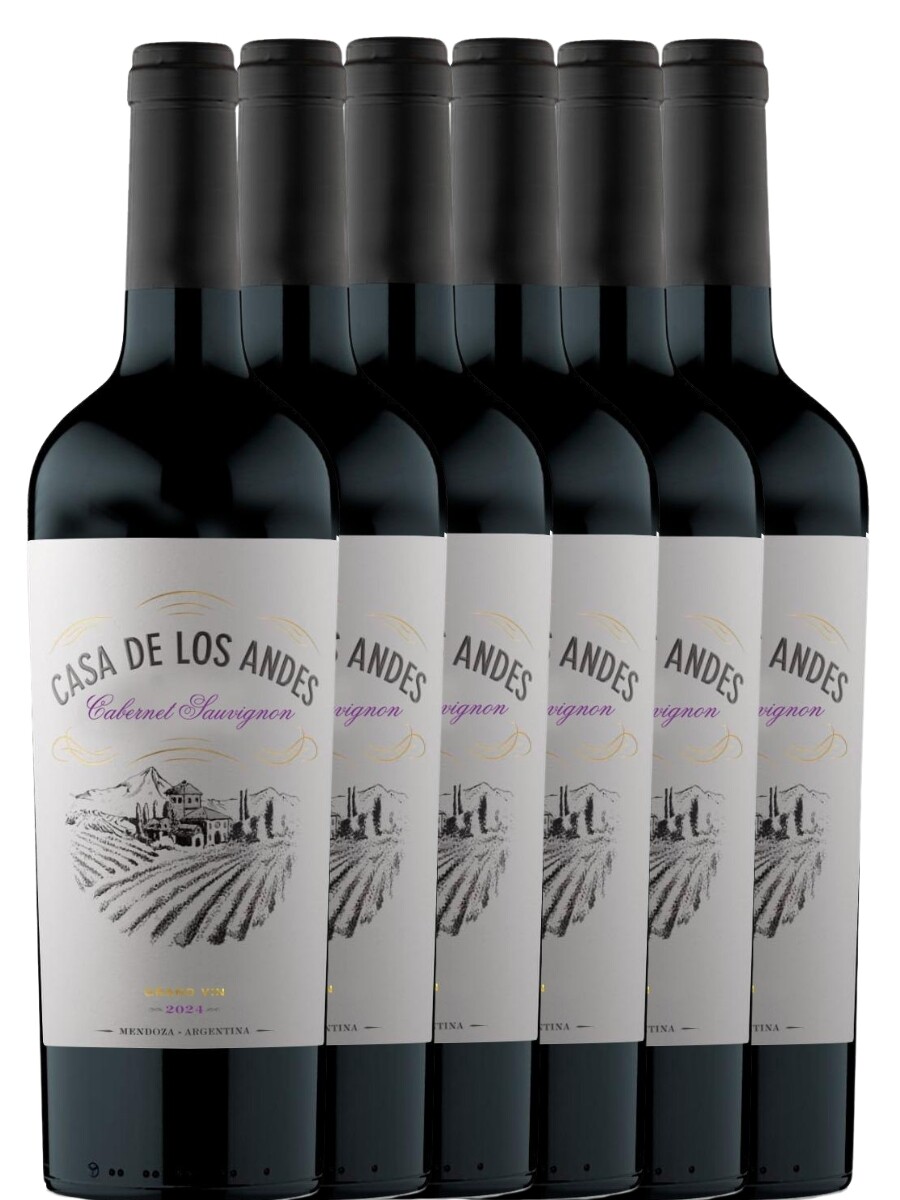 Promo 5+1 Casa de los Andes Cabernet Sauvignon 