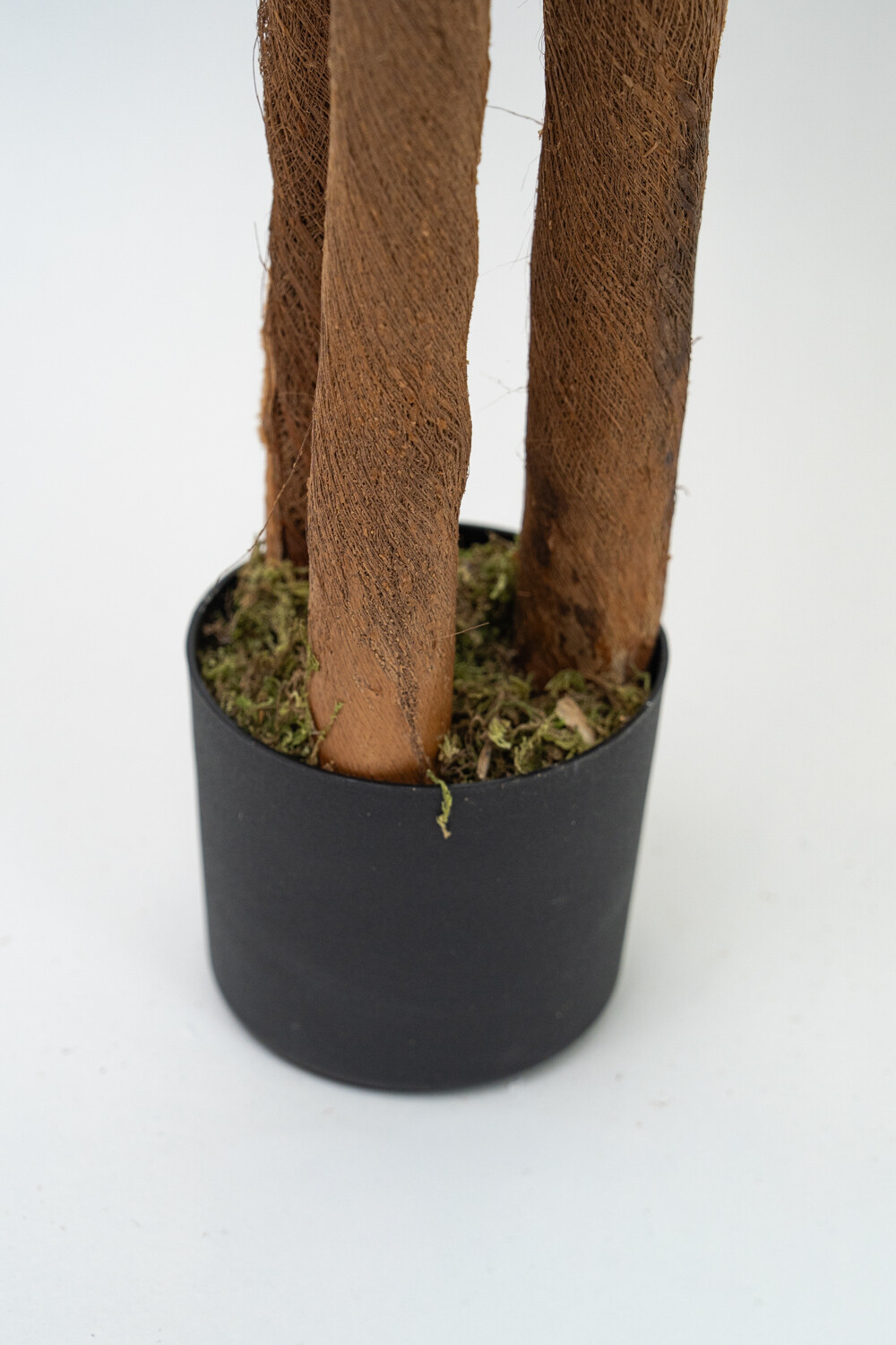 Planta Palmera 120cm Color Unico