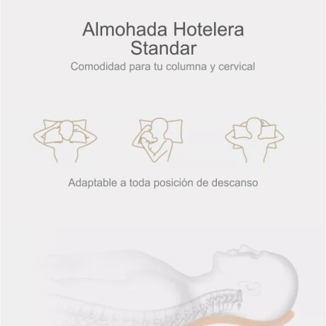 Almohada LZ 003 Fibra Siliconada Premium 50x70 Almohada LZ 003 Fibra Siliconada Premium 50x70