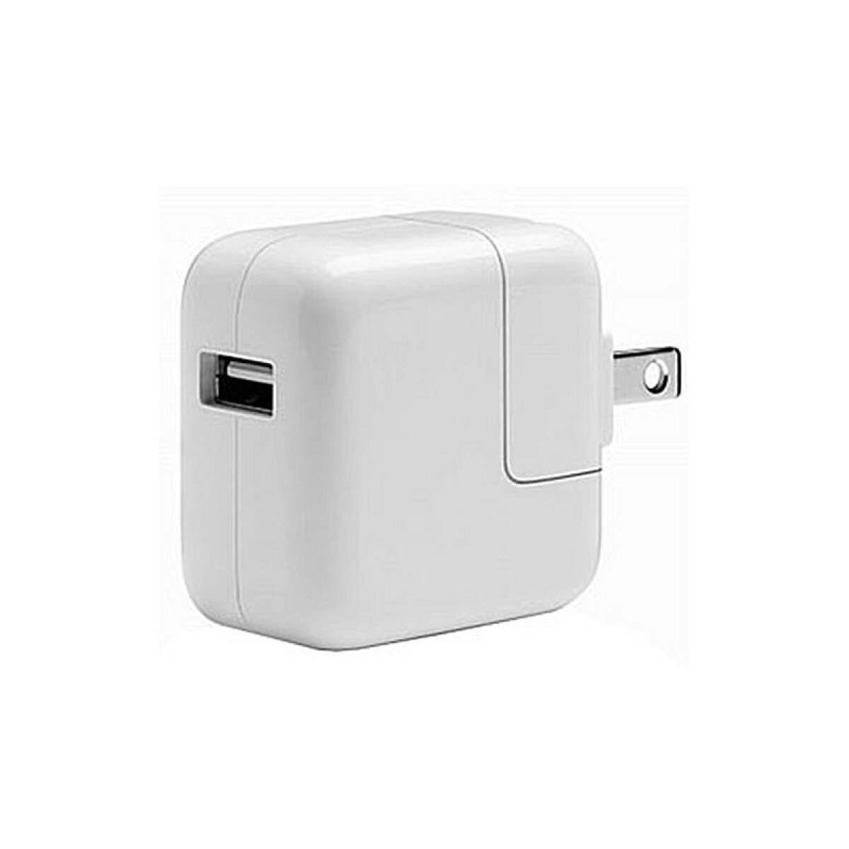 Cargador Apple 12w iPad iPhone + Cable Lightning Original