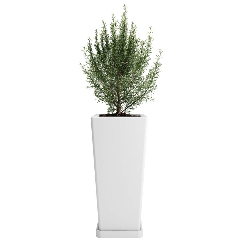 Macetero Piramidal 45 Blanco c/Plato, Alto 45cm x 21.5cm Ancho Boca x 15.6 Base, 20 lts Macetero Piramidal 45 Blanco c/Plato, Alto 45cm x 21.5cm Ancho Boca x 15.6 Base, 20 lts