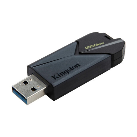 Pendrive Kingston 256GB DataTraveler Onyx USB 3.2 Negro Pendrive Kingston 256GB DataTraveler Onyx USB 3.2 Negro