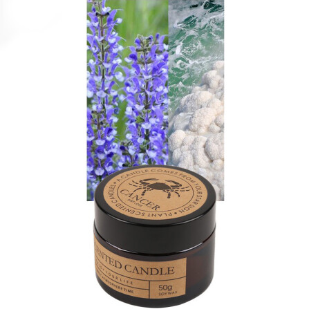 Vela Aromática Del Zodiaco Cáncer - Salvia Y Sal Marina
