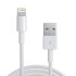 LIGHTNING TO USB CABLE (1 M)-AME LIGHTNING TO USB CABLE (1 M)-AME