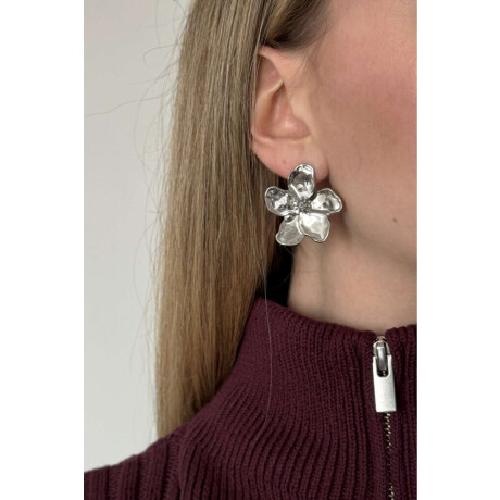 Aro Picsa Silver