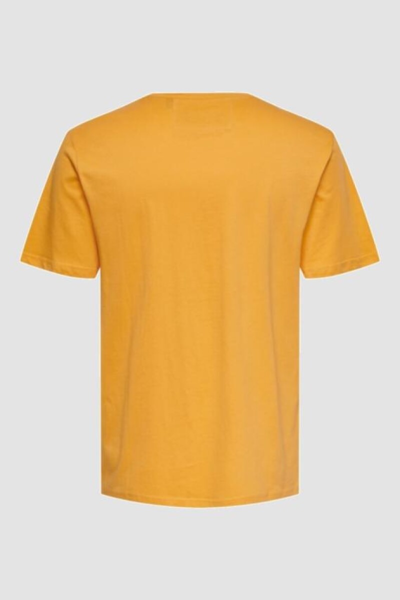Camiseta Estampada Golden Nugget