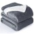 Frazada Manta Polar Con Corderito Acolchado 1 Plazas 200x150 Variante Color Gris