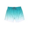 Short Zoo York Microfibra Verde