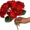 Ramo de 5 Hortensias Roja