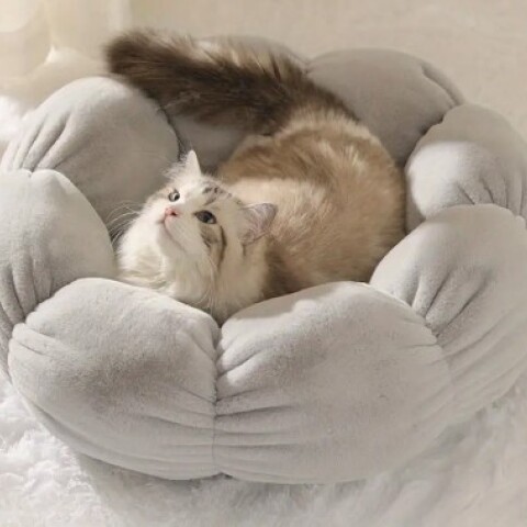 Cama Flor Gris