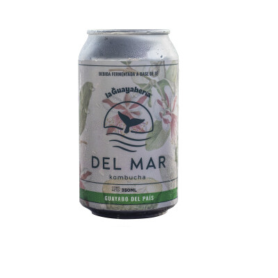 Kombucha guayabo del pais Del Mar 350ml Kombucha Del Mar Guayabo