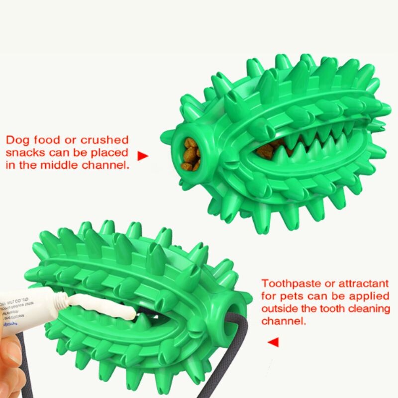Juguete Dental Para Perro - Cactus Con Ventosa Unica
