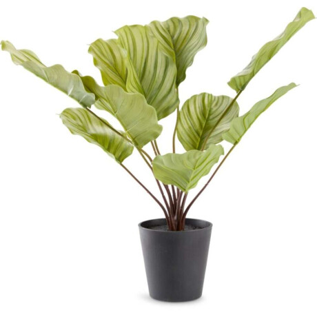 Planta artificial ROLF H55cm verde Verde