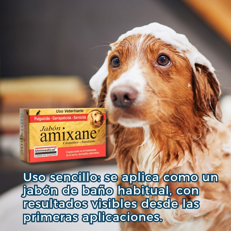 JABÓN AMIXANE PULGICIDA GARRAPATICIDA SARNICIDA 80GR JABÓN AMIXANE PULGICIDA GARRAPATICIDA SARNICIDA 80GR