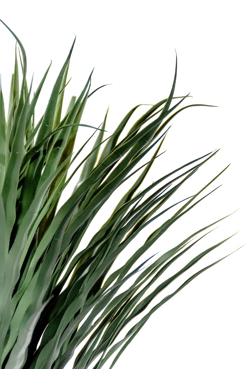 Planta Palmera De Yuca 140cm Color Unico