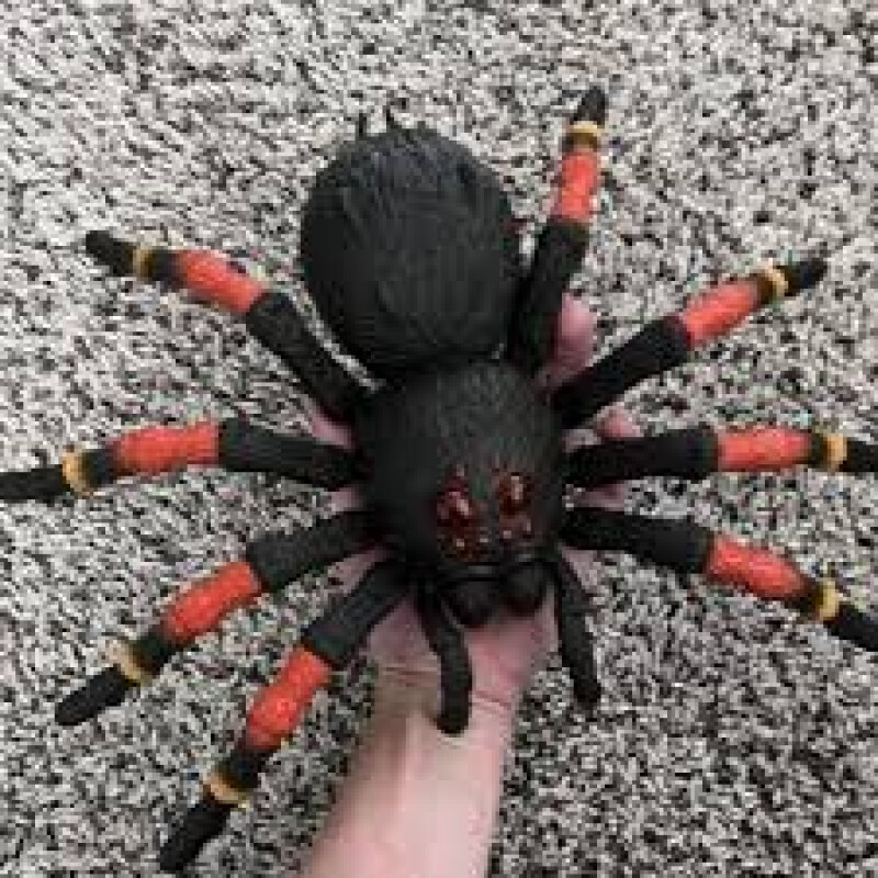 Robo Alive Tarántula gigante Robo Alive Tarántula gigante