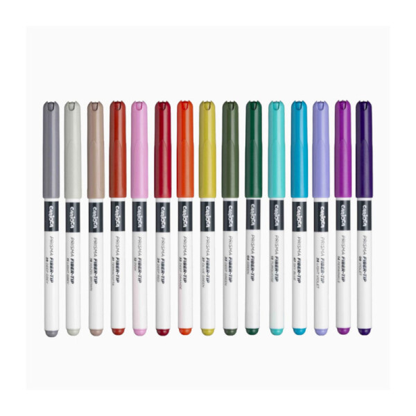 Marcadores CARIOCA Plus Prisma fino x 30 colores Única